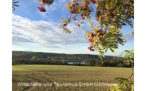 Feld Herbst Möhnesee